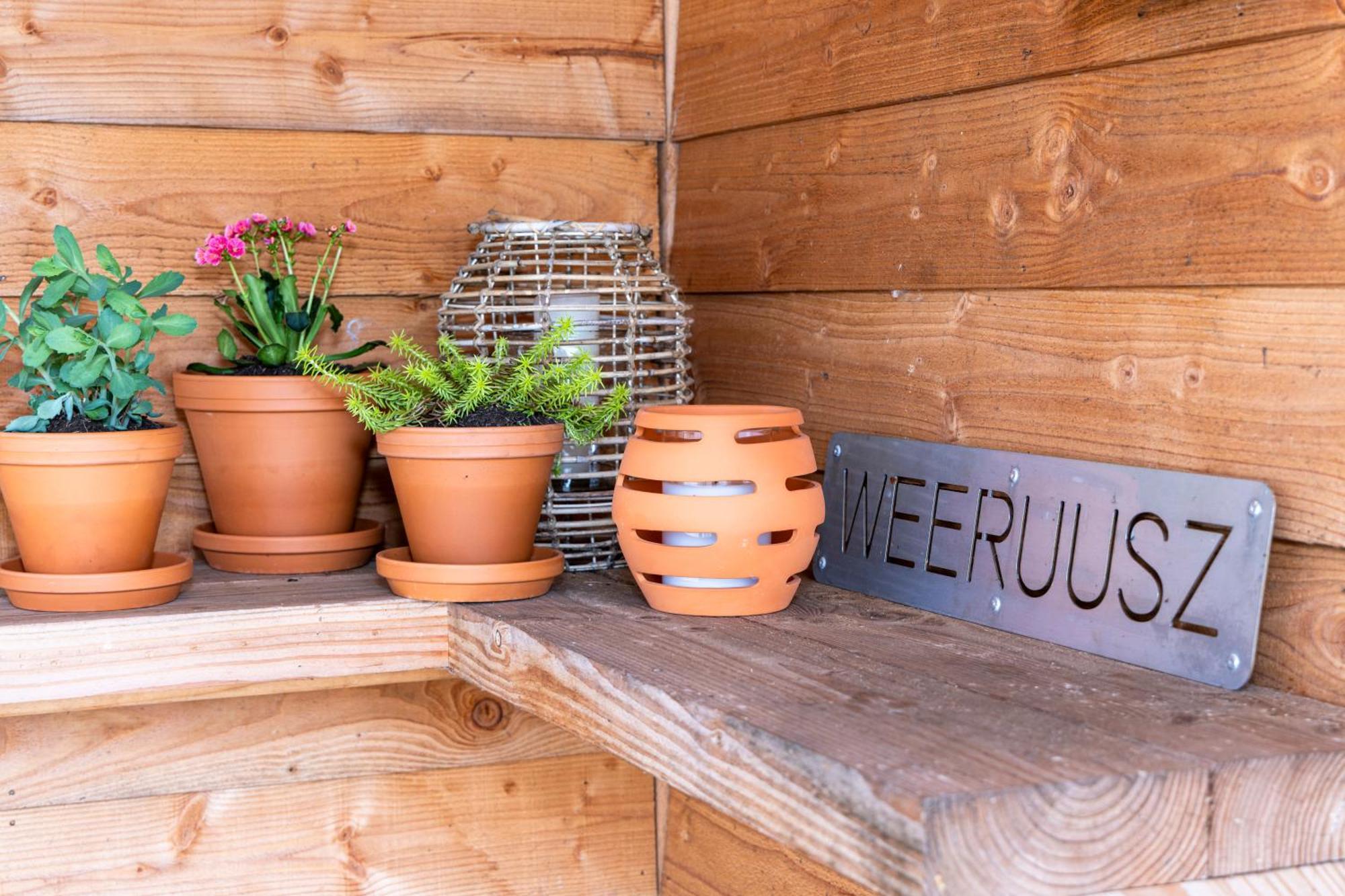 Weeruusz Bed and Breakfast Kolderwolde Εξωτερικό φωτογραφία